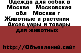 Одежда для собак в Москве - Московская обл., Москва г. Животные и растения » Аксесcуары и товары для животных   